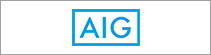 AIG 손해보험